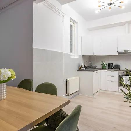 Spacious 4 Bdr, 4 Bthr In The Center Of * 布达佩斯